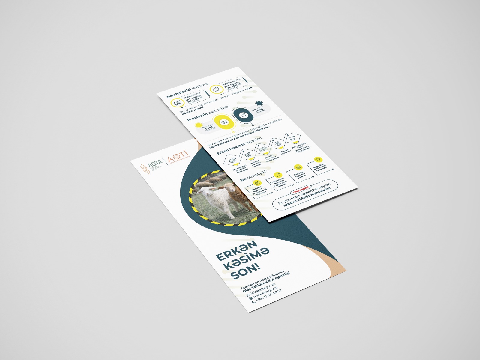 slider-image