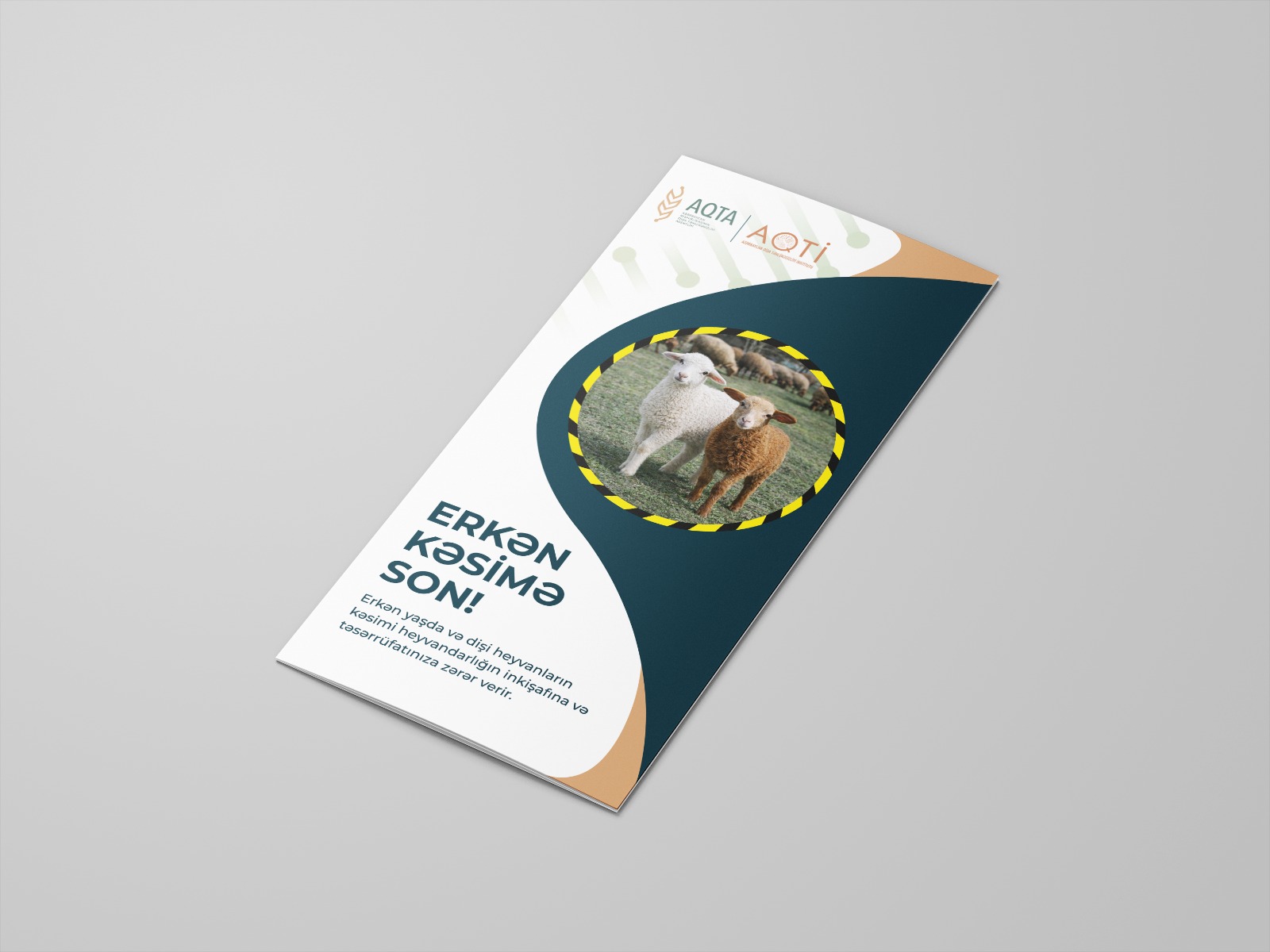 slider-image