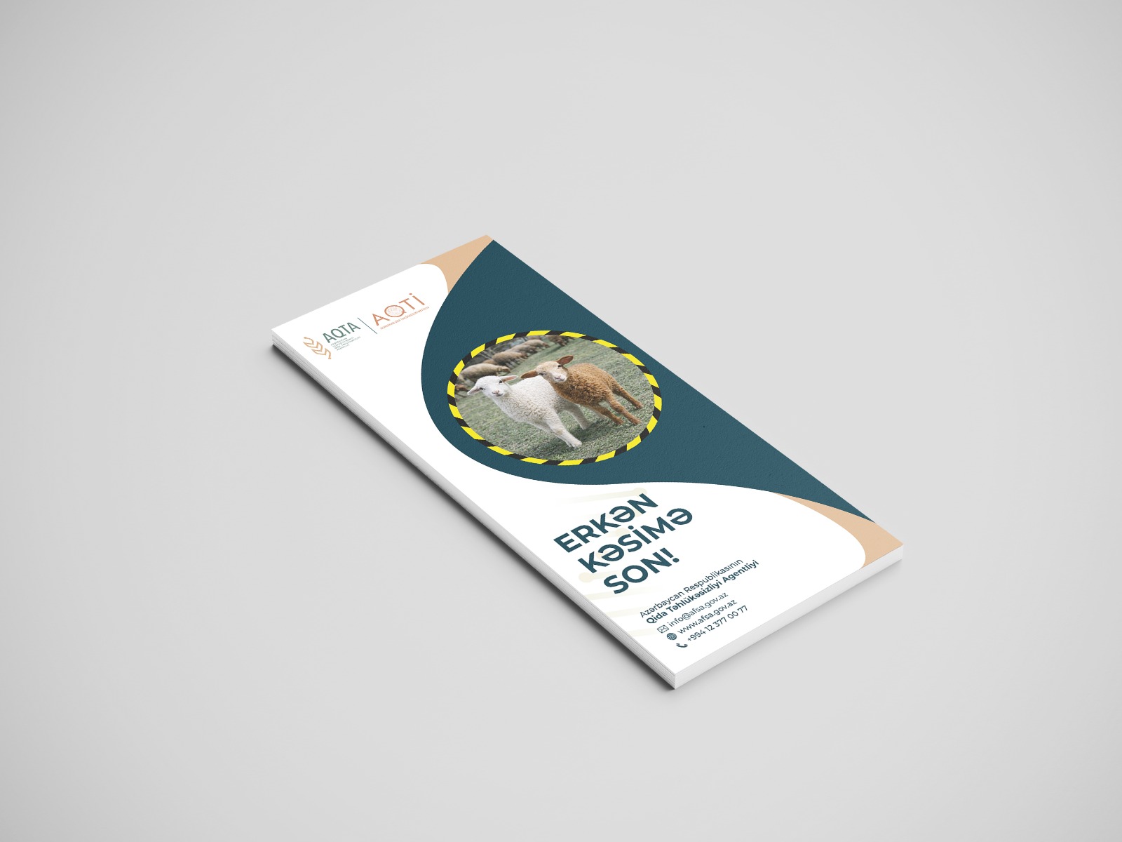 slider-image