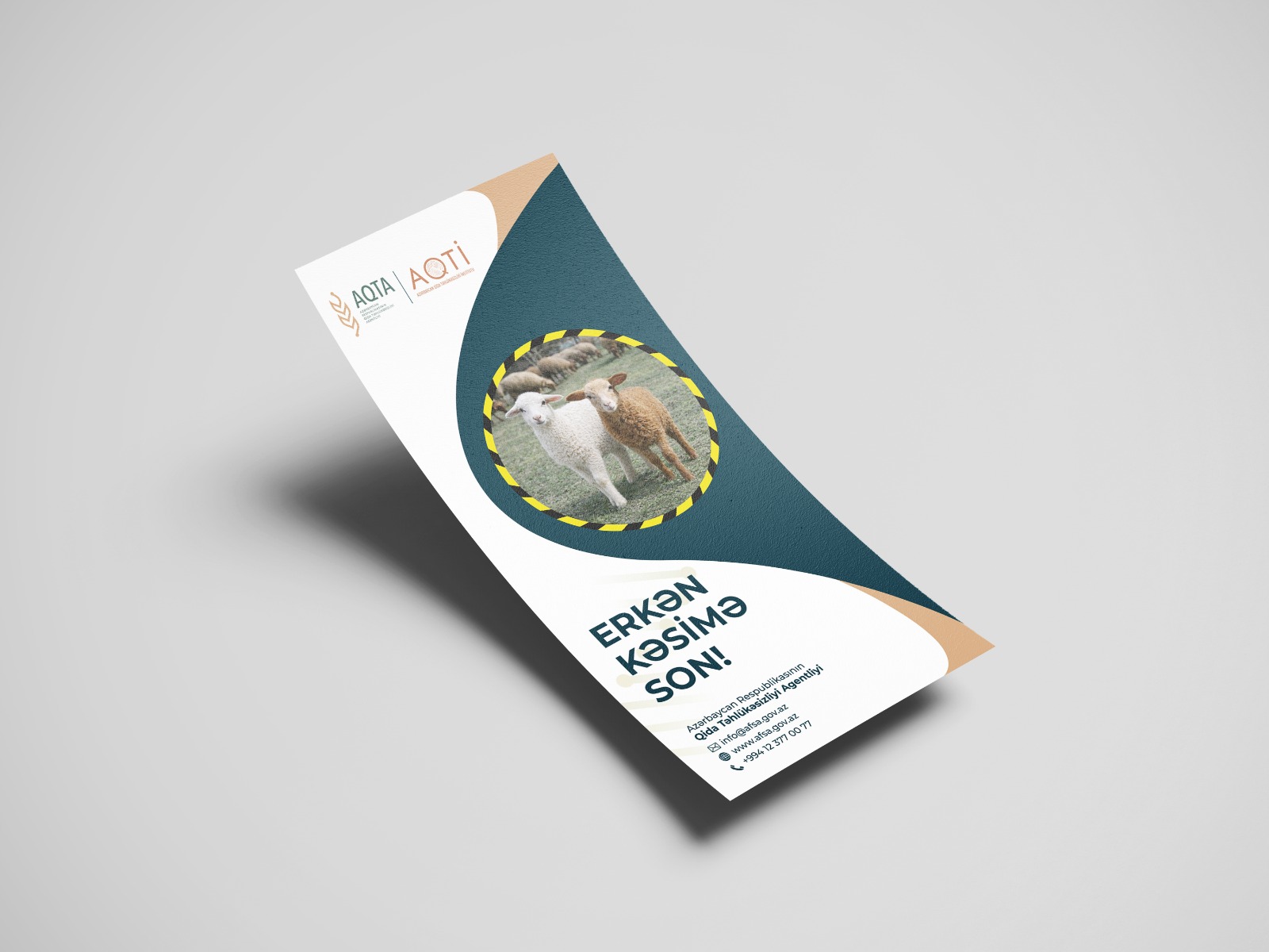 slider-image