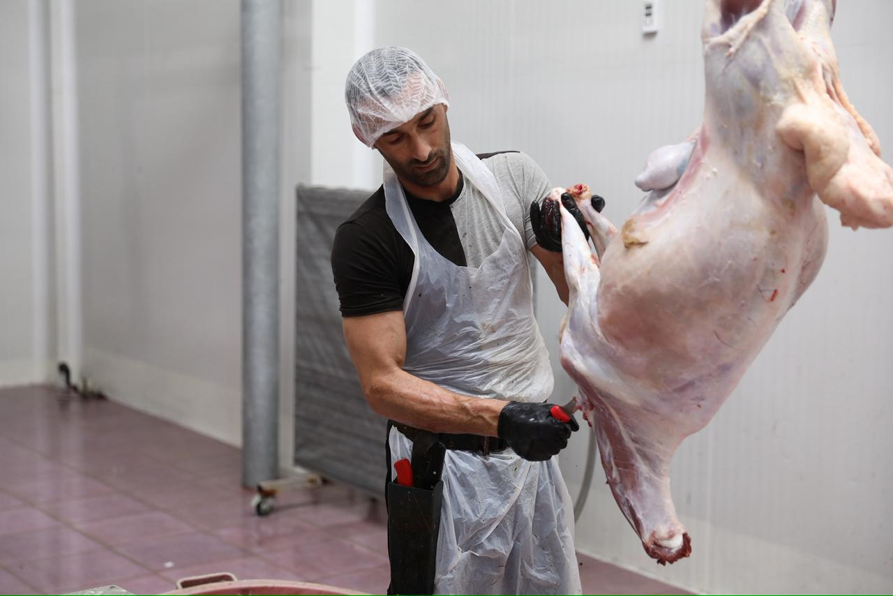 slider-image